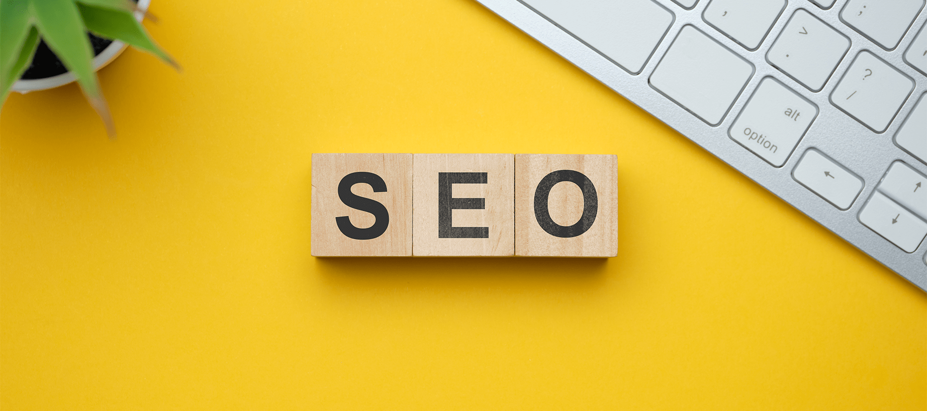seo nedir dogal seo calismasi nasil yapilir 1